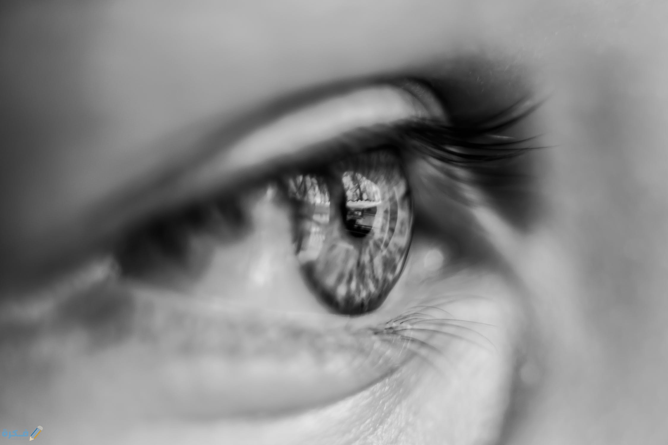 تفسير حلم رؤية عيني تنزف دم 1 pexels photo 1047346