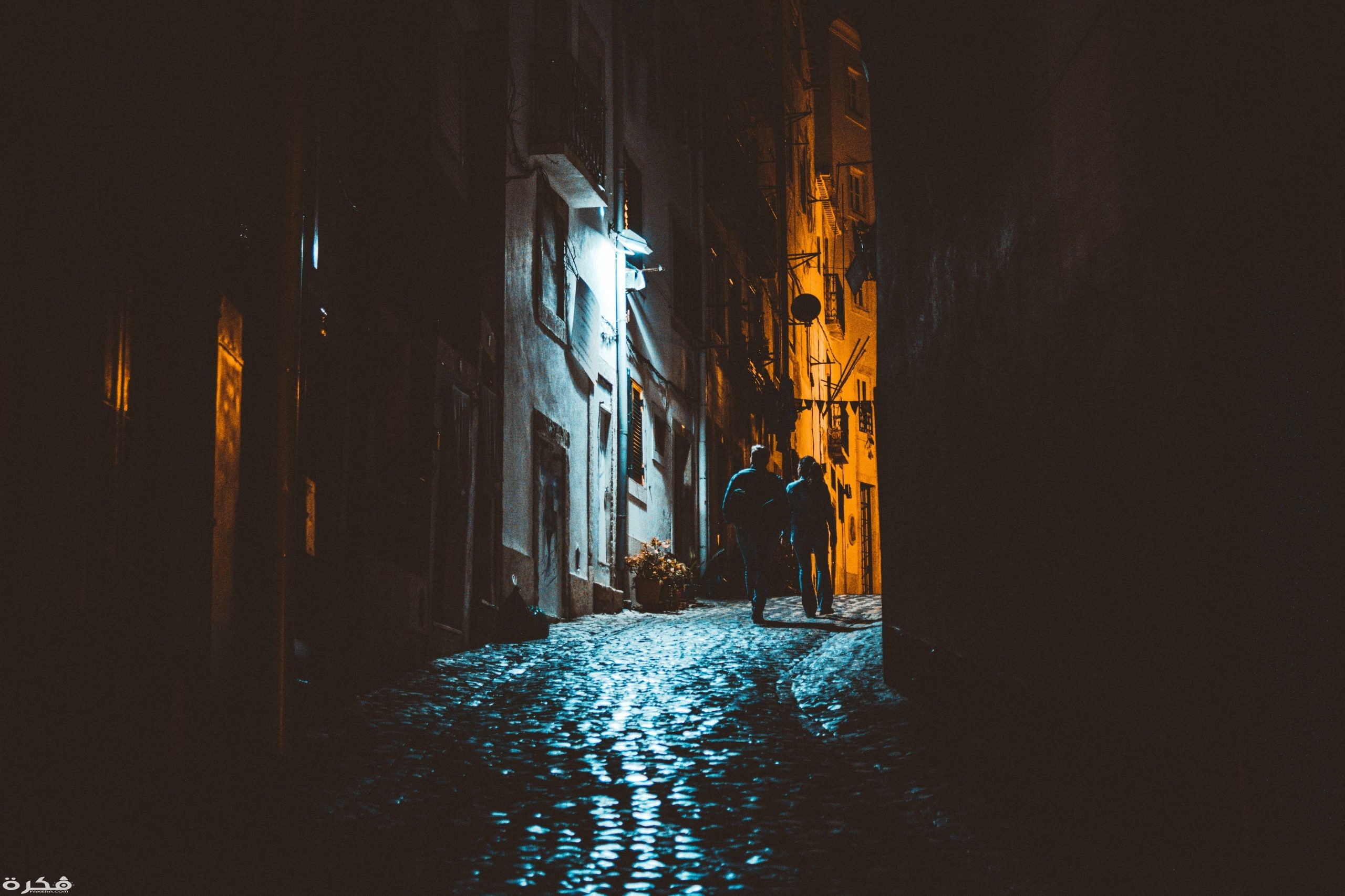 تفسير رؤية المشي مع الميت في الليل في المنام 1 pexels photo 1545494 scaled
