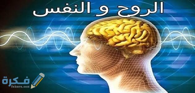 ما الفرق بين الروح و النفس ؟ 1 IMG 20200525 WA0019