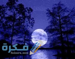 كلام عن هدوء الليل 1 images 7