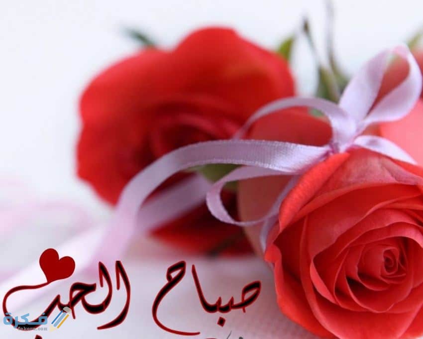 150 من احسن رسائل صباحية للحبيب والعشاق 1 الحب 2