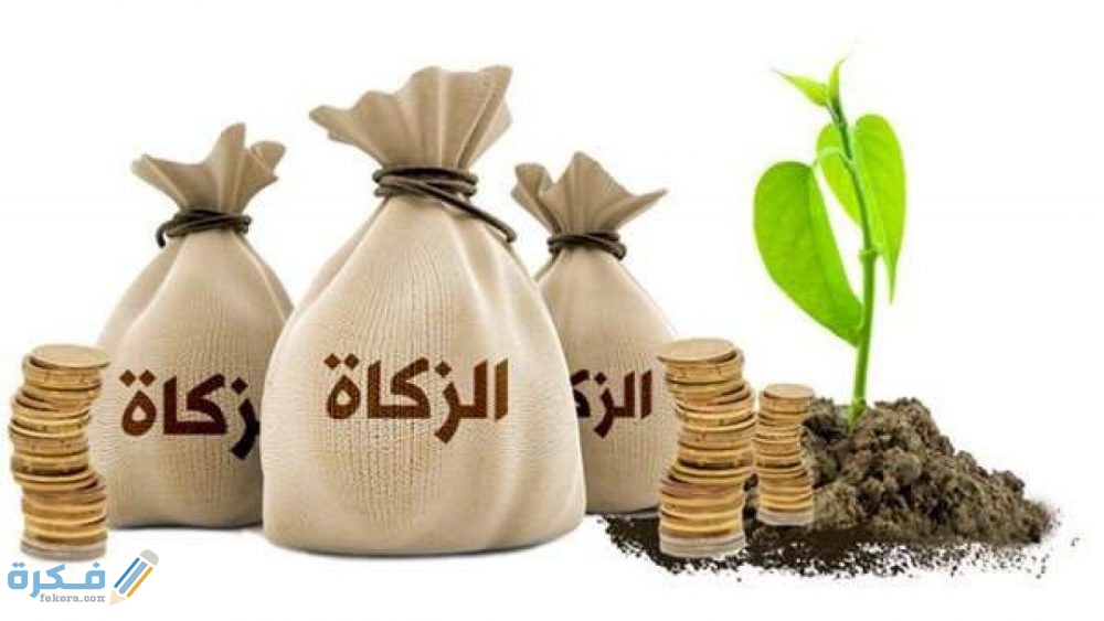 كم قيمة زكاة عيد الفطر في السعودية 1446.. ولمن تجب ومقدارها من الأرز والريال 1 زكاة الفطر في السعودية 2020 scaled 1