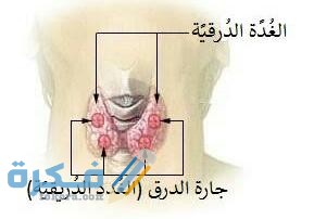 مواضع الحجامة لمرض تضخم الغدة الدرقية وزيادة إفرازها 1 IMG 20200602 WA0038