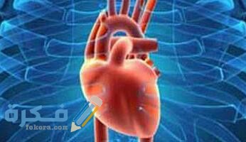 ما هو الإعجاز في قلب الإنسان ؟ 1 IMG 20200605 WA0057