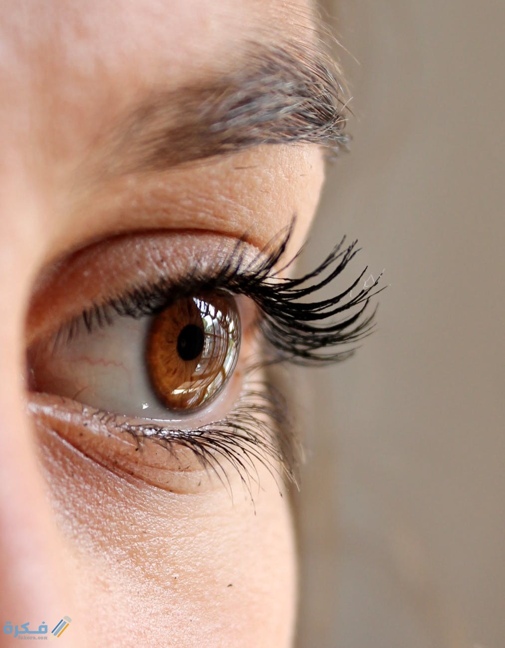 ما تفسير رؤية العيون العسلية في المنام 1 eye eyelashes face woman 63320