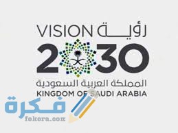 اكثر التخصصات المطلوبة في سوق العمل السعودي حسب رؤية 2030 1 images 17