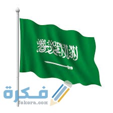الاستعلام عن موعد فتح باب التجنيس في السعودية 1 images 17
