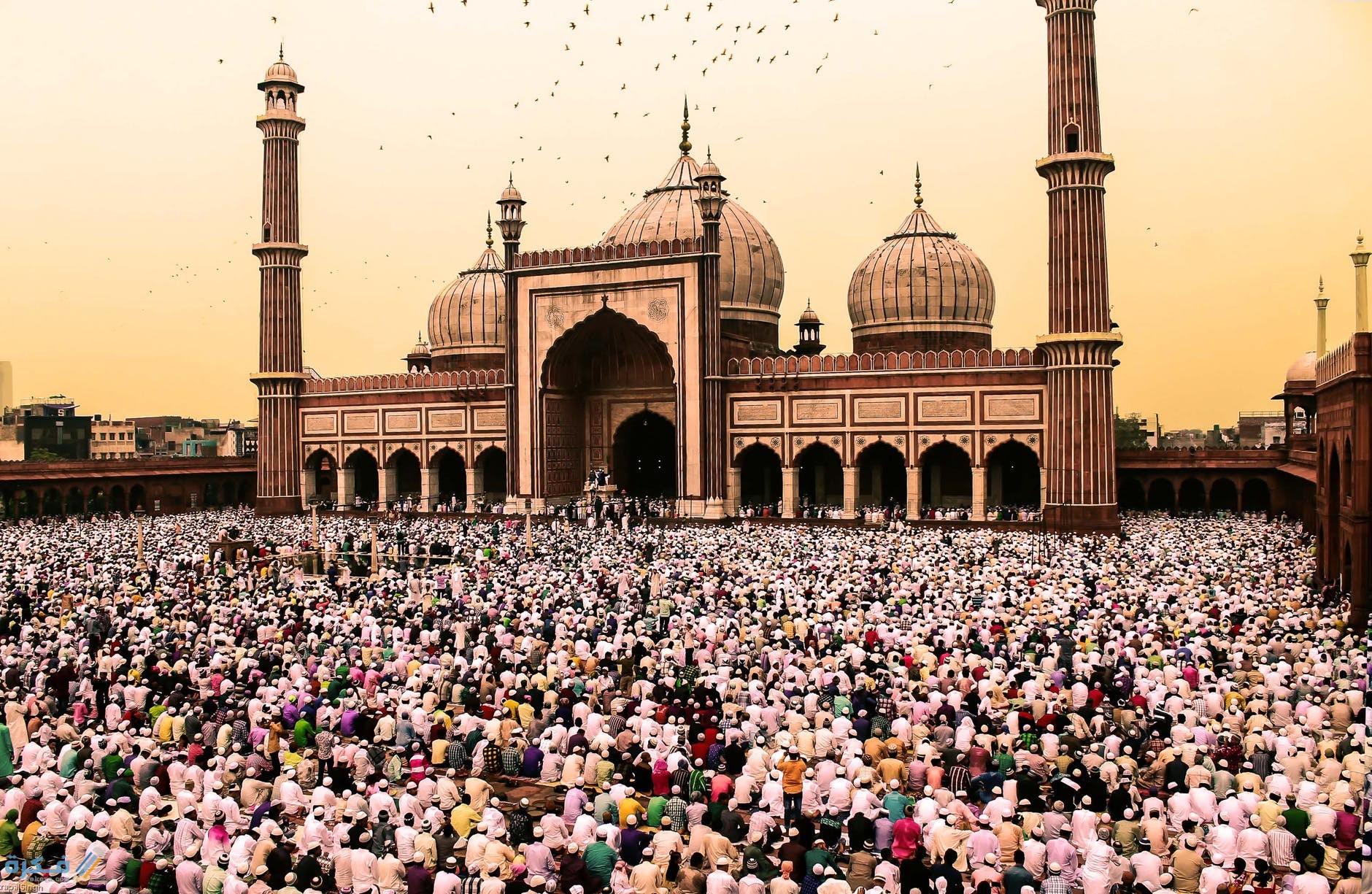 ما هي شروط خطبة الجمعة 1 pexels photo 2989625