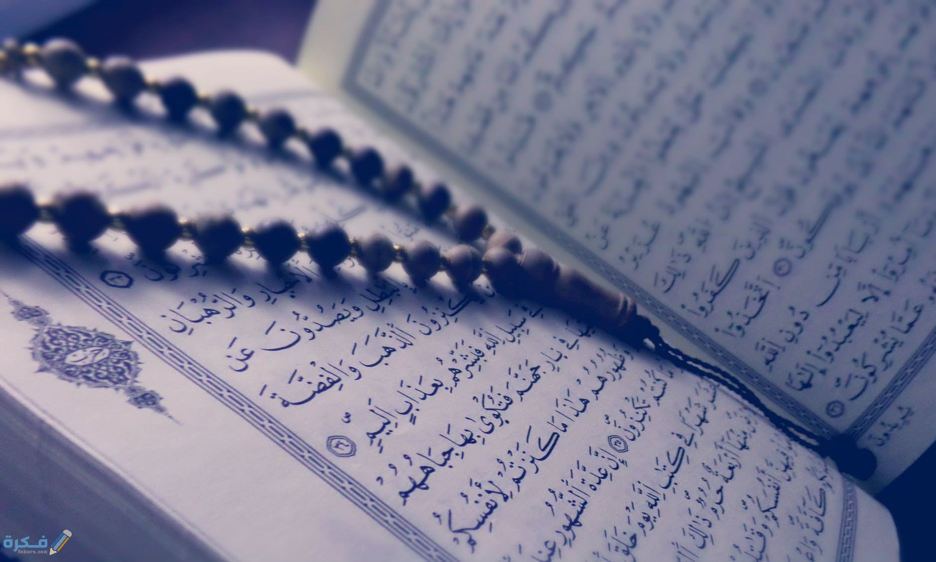 رايت في المنام اني لا استطيع قراءة القران 1 pexels photo 318451