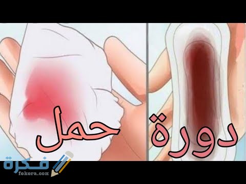 متى ينزل دم تثبيت الحمل بالتفصيل 1 0