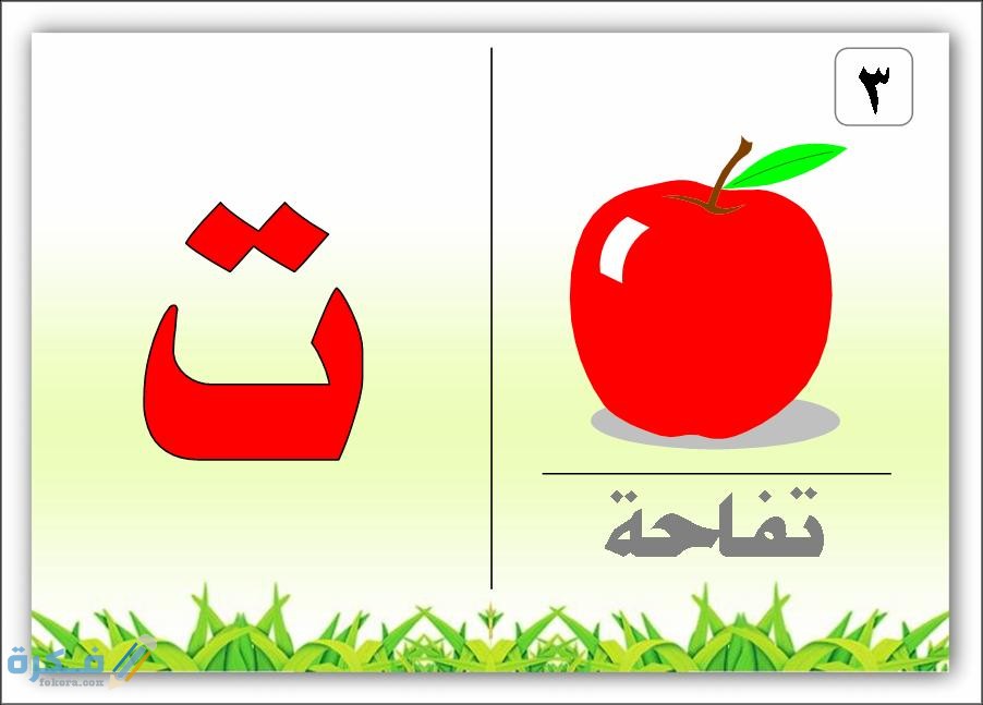 اسم نبات بحرف ت التاء 1 1403