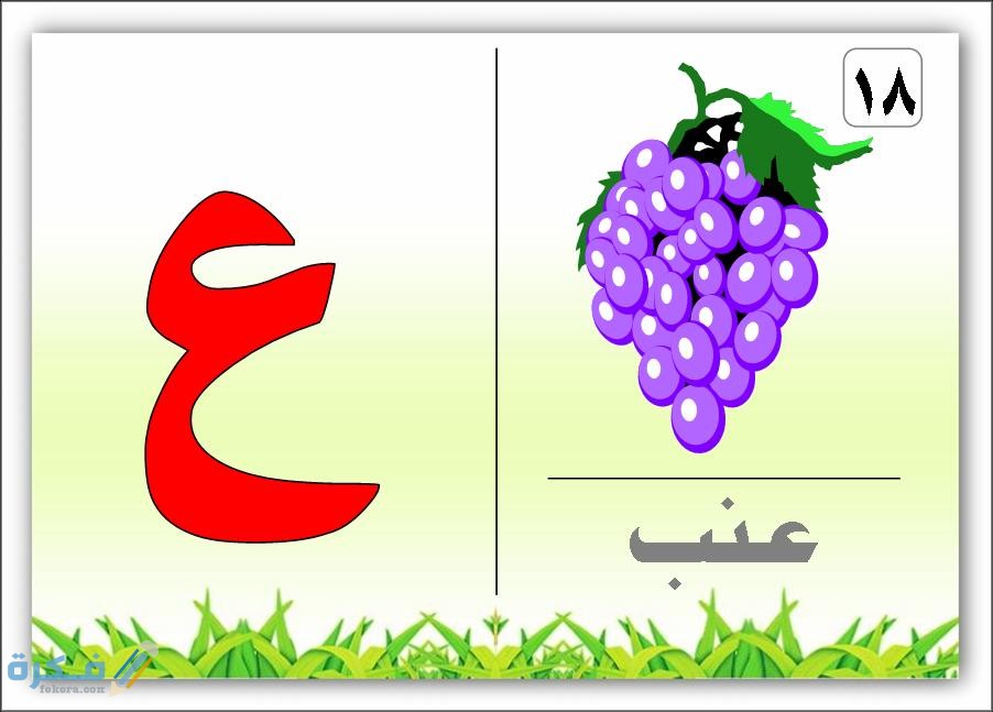 اسم نبات بحرف ع العين 1 IMG 20200706 WA0001