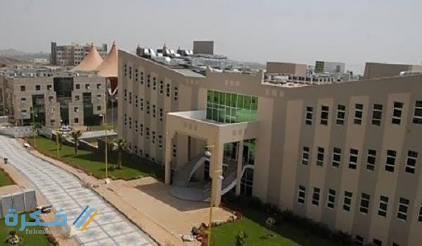 نسب التخصصات في جامعة جدة 1446 1 IMG 20200722 WA0005