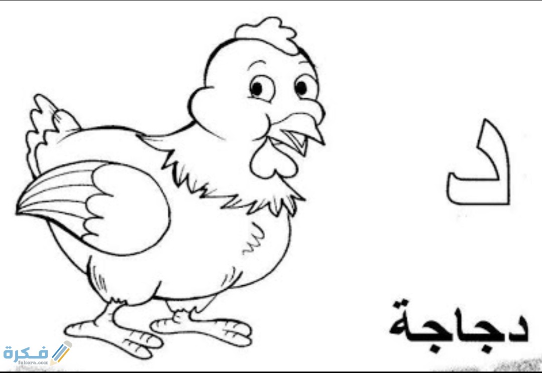 ما اسم حيوان بحرف د الدال 1 IMG ٢٠٢٠٠٧٠٢ ١٤٣١٤٢