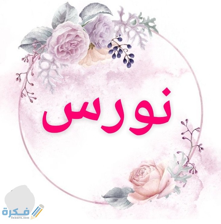 معنى اسم نورس Noras وشخصيتها وحكم التسمية في الاسلام 1 IMG ٢٠٢٠٠٧٠٥ ٠٢٠١٠٣
