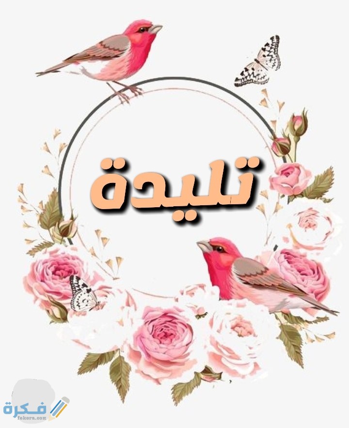معنى اسم تليدة Talida وشخصيتها وحكم التسمية في الاسلام 1 IMG ٢٠٢٠٠٧٠٦ ٠٢٥١١٩