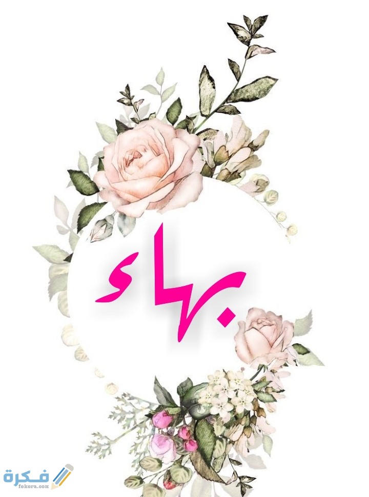 معنى اسم بهاء Bahaa وشخصيته وحكم التسمية في الاسلام 1 IMG ٢٠٢٠٠٧١٧ ٠٢٣٣٠٦