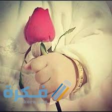 عبارات جميلة عن الحب والحياة 1 download 3