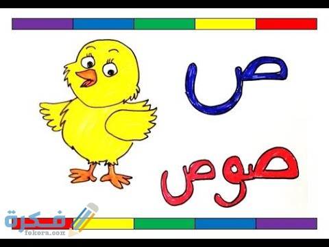ما اسم حيوان بحرف ص الصاد 1 hqdefault 2