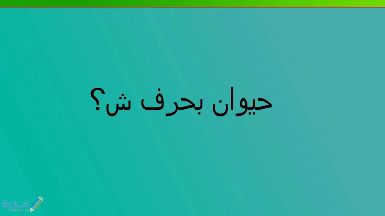 ما اسم حيوان بحرف الشين ش 1 maxresdefault 19