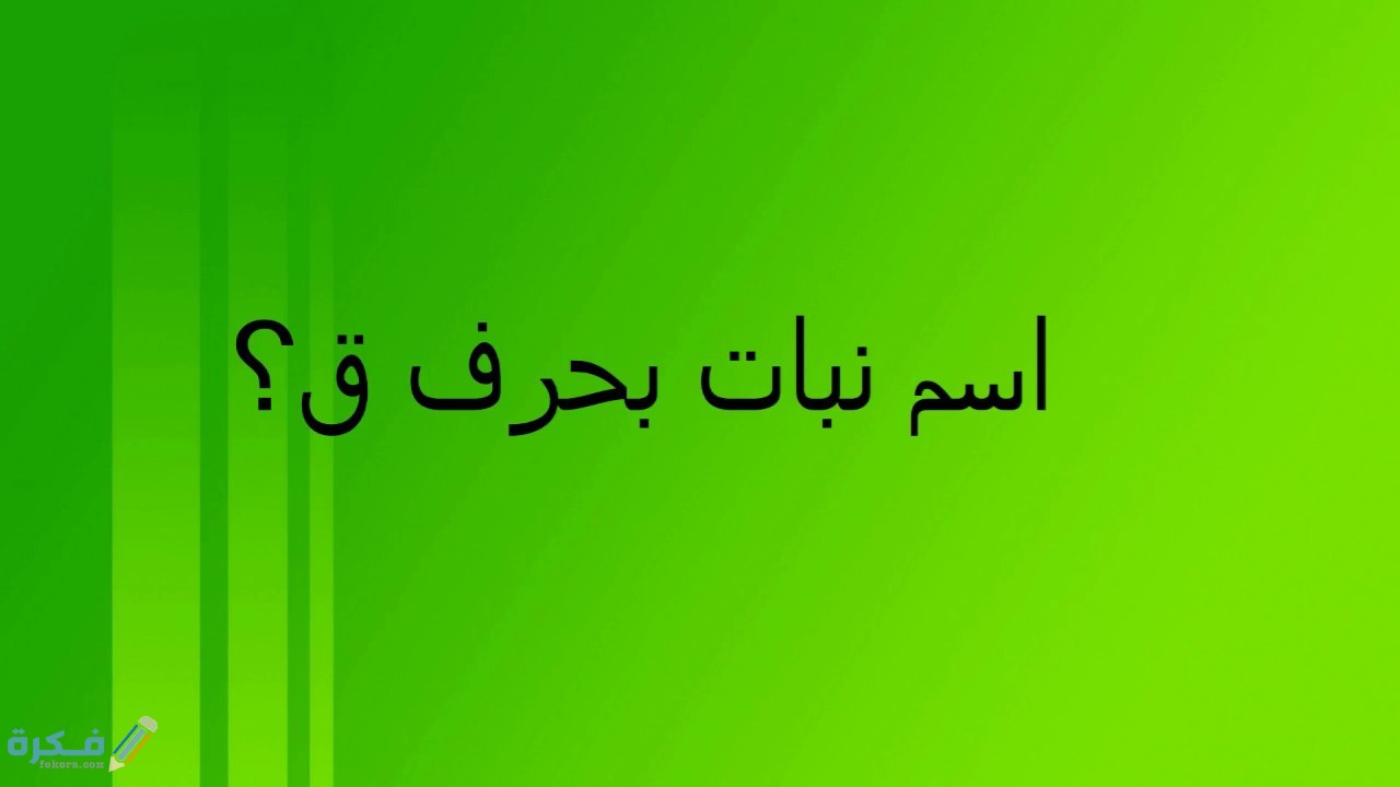اسم نبات بحرف ق القاف 1 maxresdefault 26