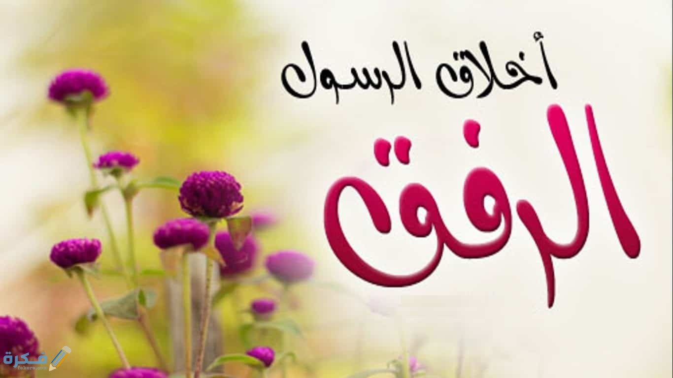 أذاعة مدرسية عن الرفق الإرشادي 1 من الرفق
