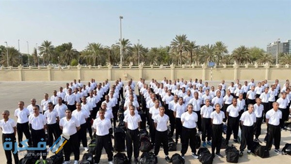 مميزات وعيوب الكليات المطلوبة للضباط المتخصصين 1 666