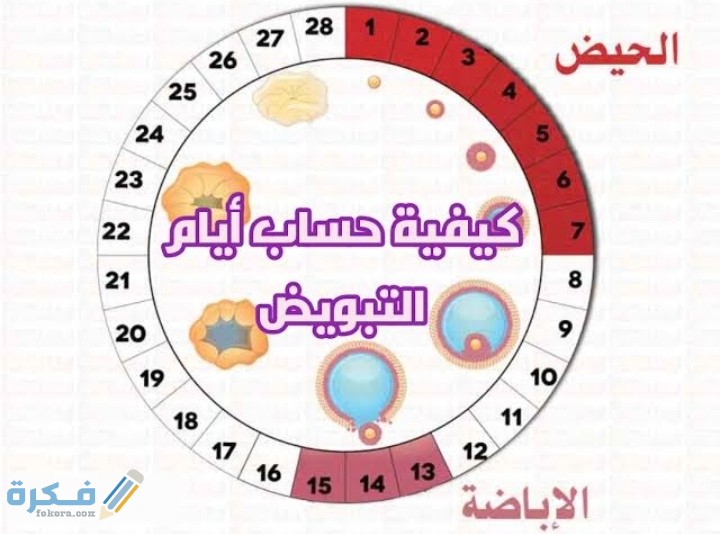 كيف احسب ايام التبويض عندي 1 IMG ٢٠٢٠٠٨٠٧ ١٨٣٣١٤