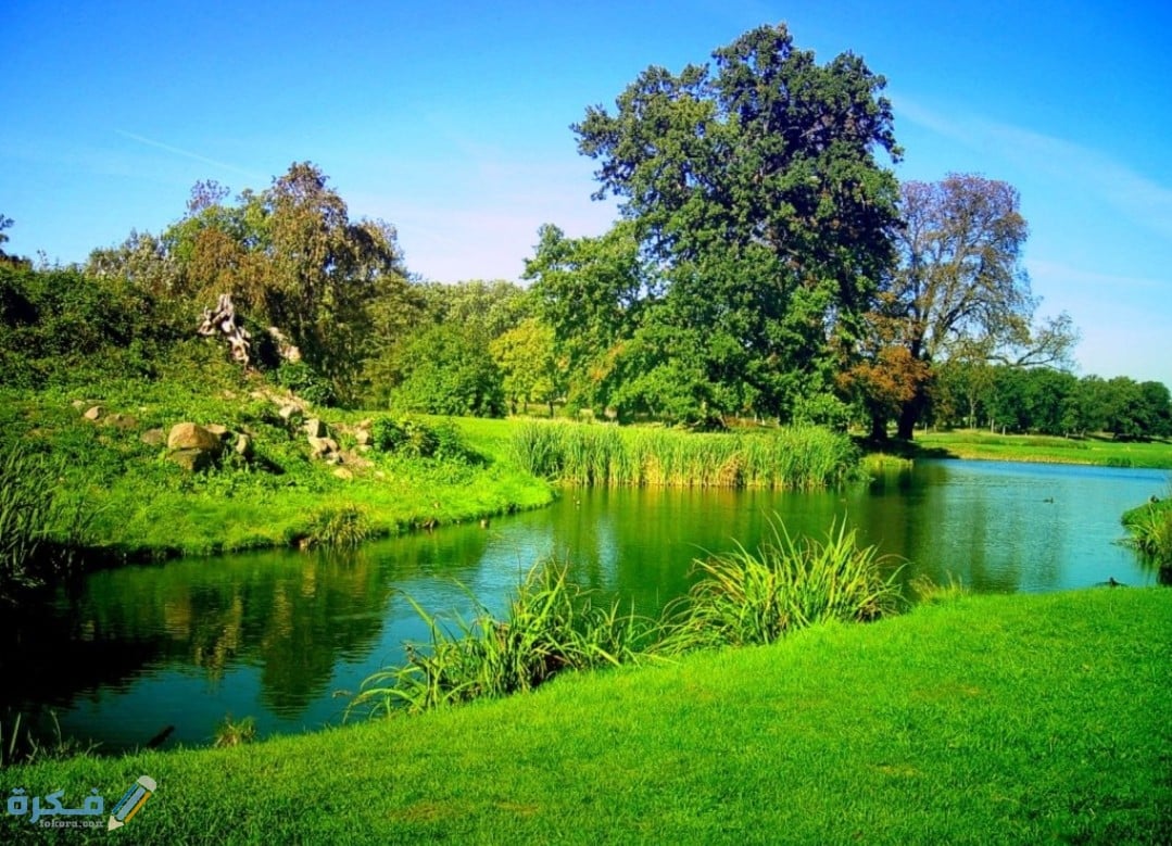 صور طبيعية جميلة 2025 1 IMG ٢٠٢٠٠٨٢٨ ١٤٢٣٤٩