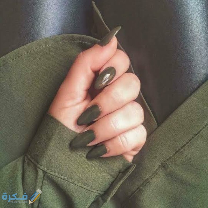 ما هي درجات اللون الزيتي 1 IMG ٢٠٢٠٠٨٢٩ ٠٣٠٦٤٣