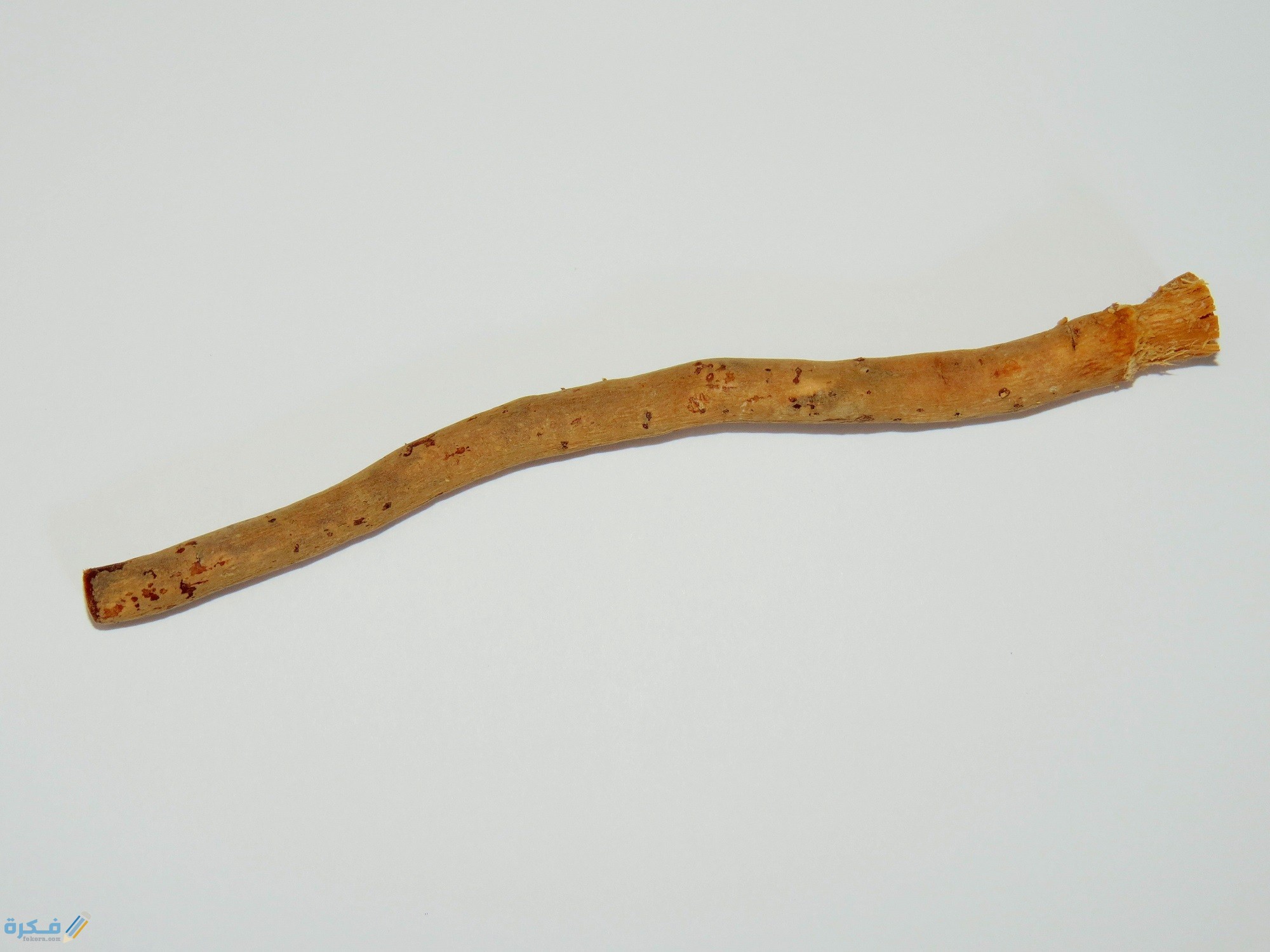 تفسير رؤية السواك لابن سيرين او لابن شاهين 1 Miswak 2014