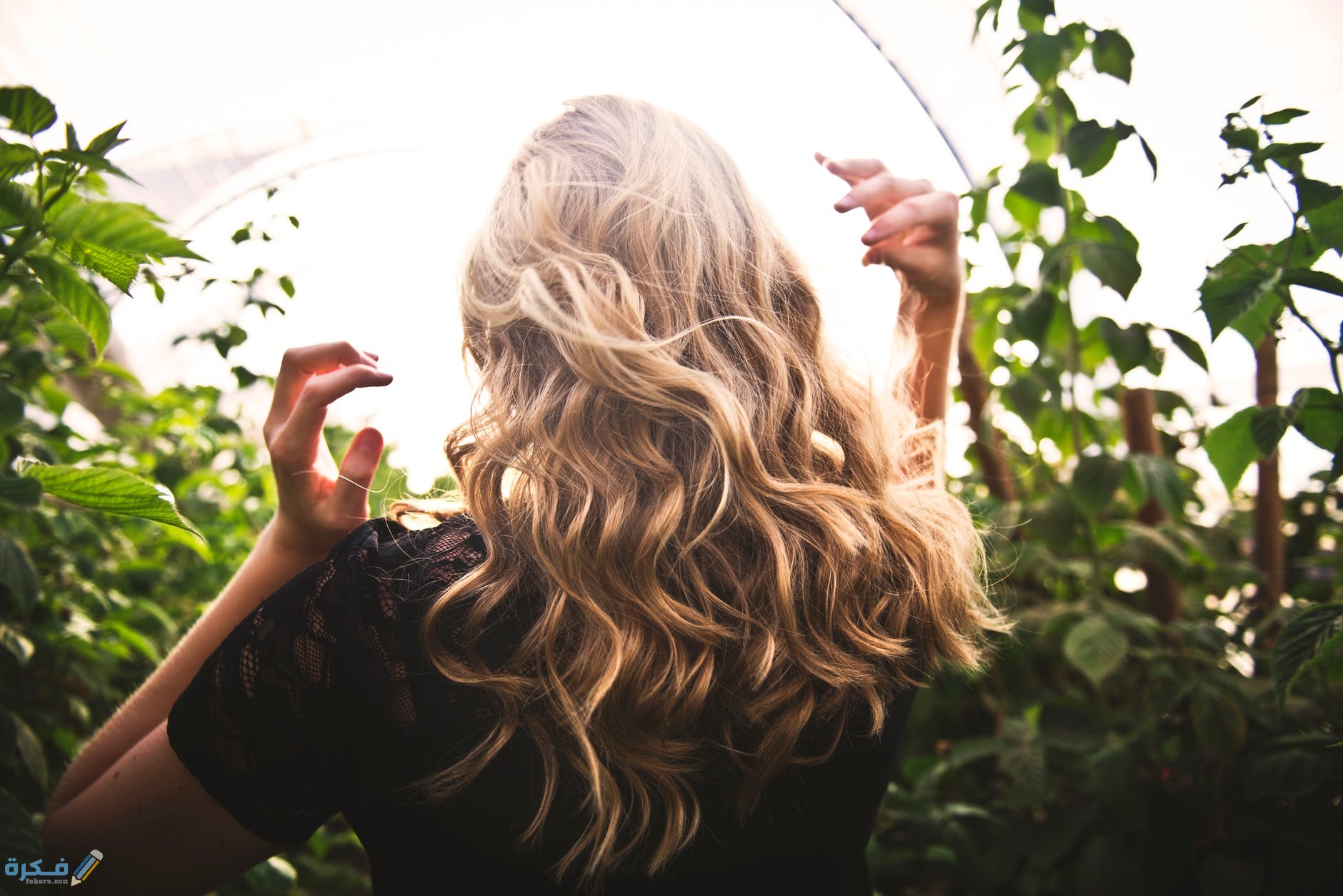الشعر في المنام لابن سيرين او لابن شاهين 1 pexels photo 1049687