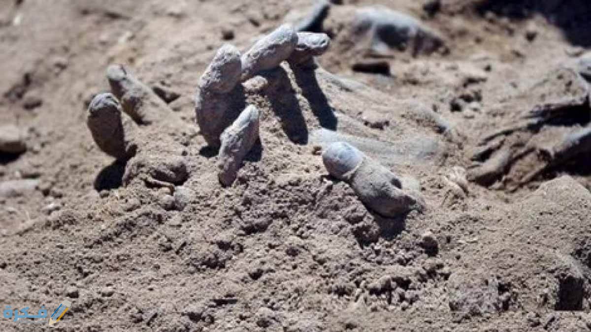 تفسير رؤية الجثة او الجثث في المنام 1 رؤية الجثث