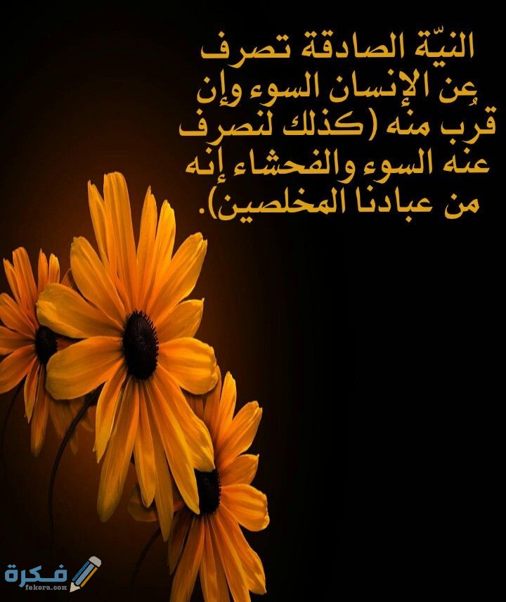 ايات من القران عن النية والاخلاص 1 c98acd5319d861dddf6110626e1f29ff