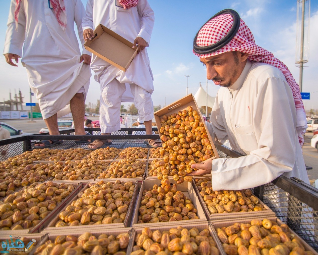 فعاليات مهرجان بريدة للتمور 1446 1 التمور 3