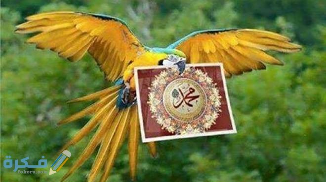 ماذا قال الرسول عن الحب 1 366283 Large 20150630023211 62