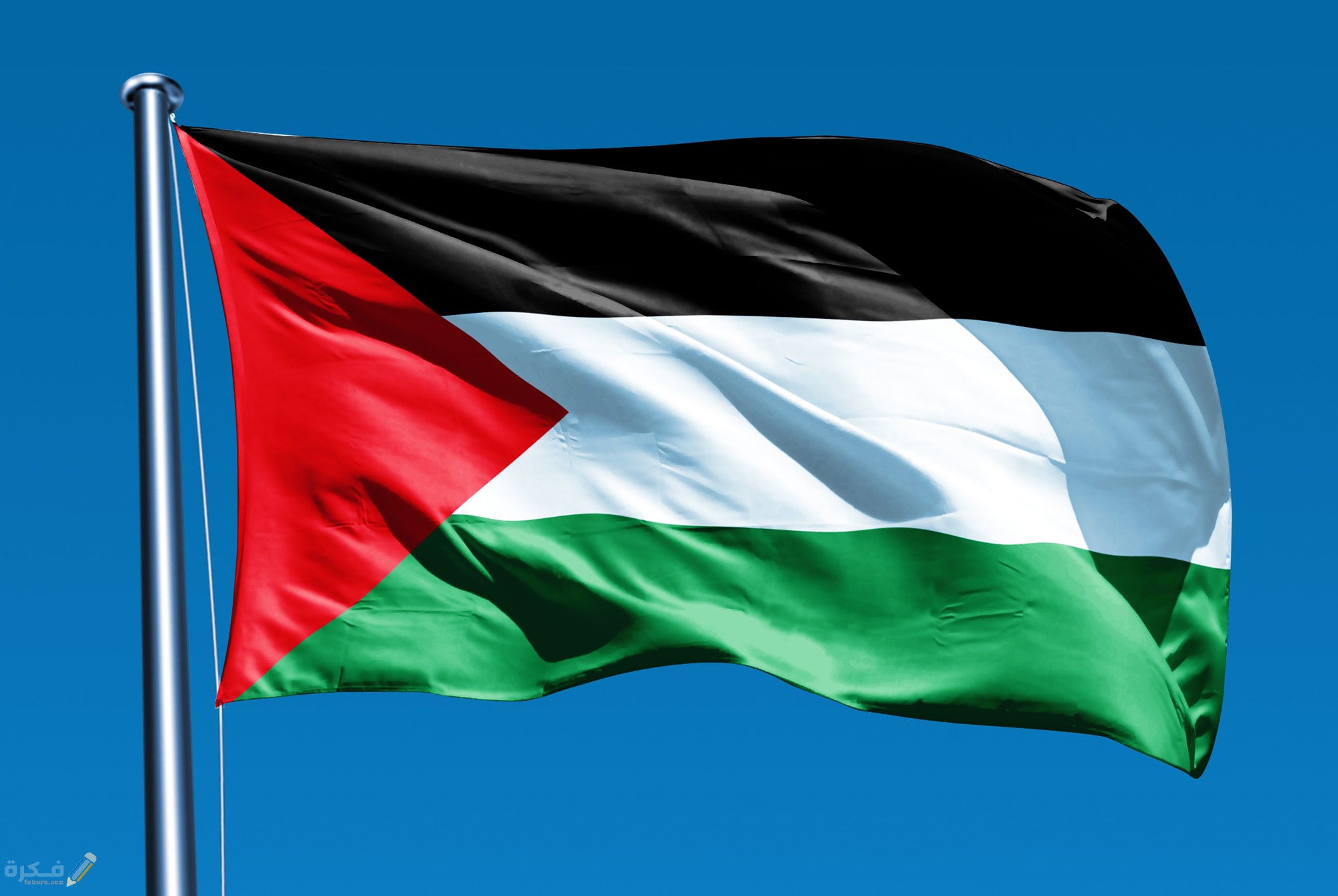 تفسير حلم رؤية علم فلسطين 1 52029d8522cc7450c8a3471c7963a512