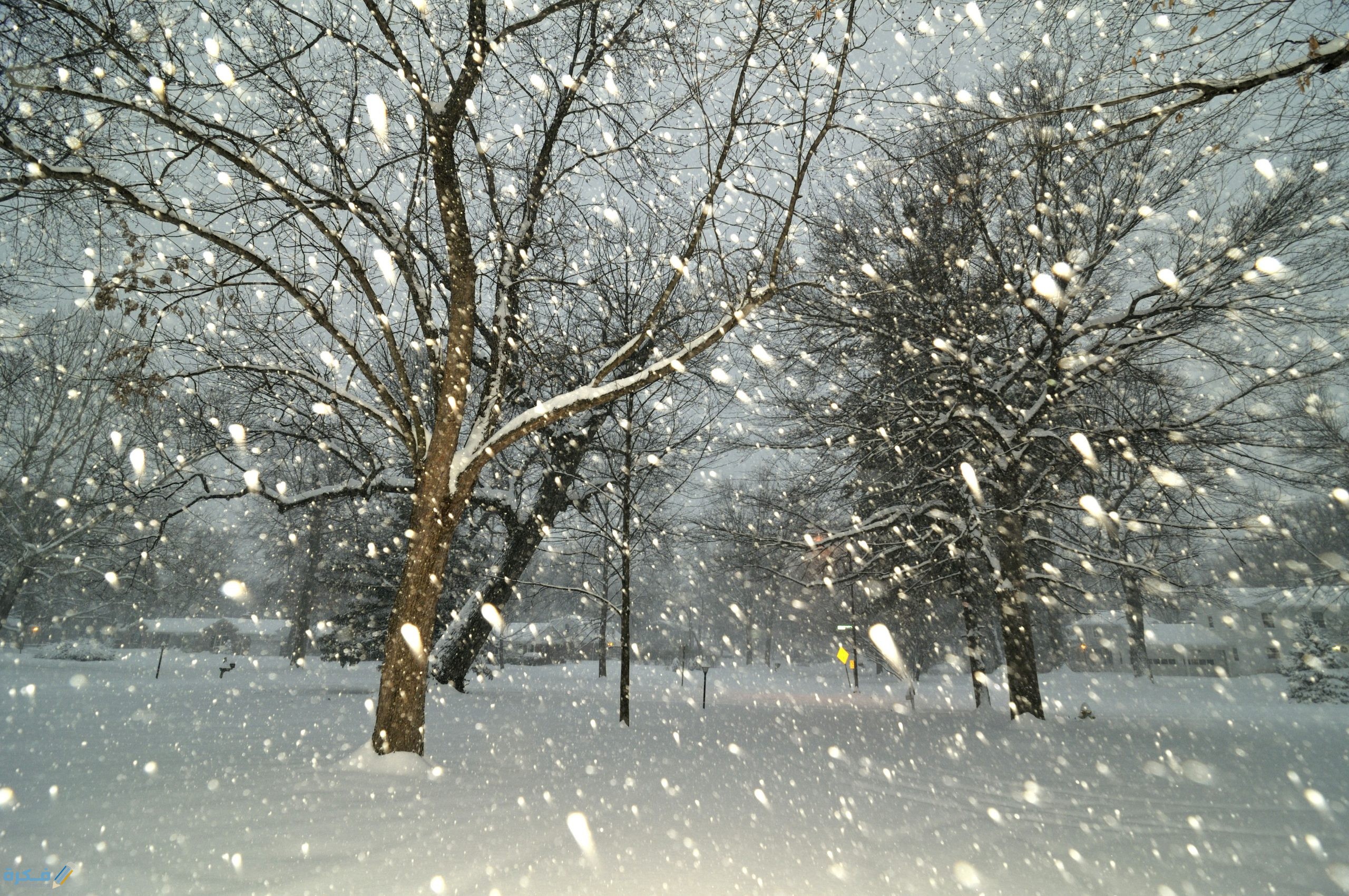تفسير حلم رؤية سقوط الثلج من السماء 1 Falling Snow stuck at home 3234280718 scaled