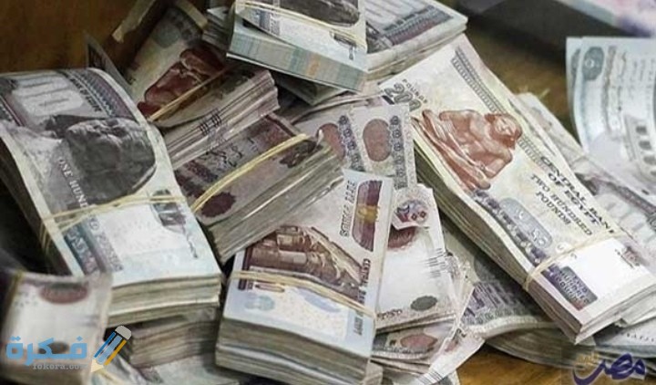 مشروع برأس مال مليون جنيه 2025.. 6 أفكار مضمونة 1 IMG ٢٠٢٠١٠٠٦ ٠٠٥٠٢٨