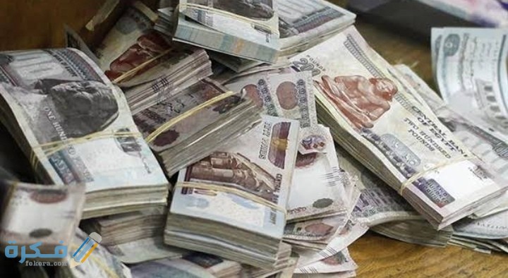 فكرة مشروع برأس مال 500000 جنيه نص مليون جنية 1 IMG ٢٠٢٠١٠٠٨ ١٩١٥٣٨
