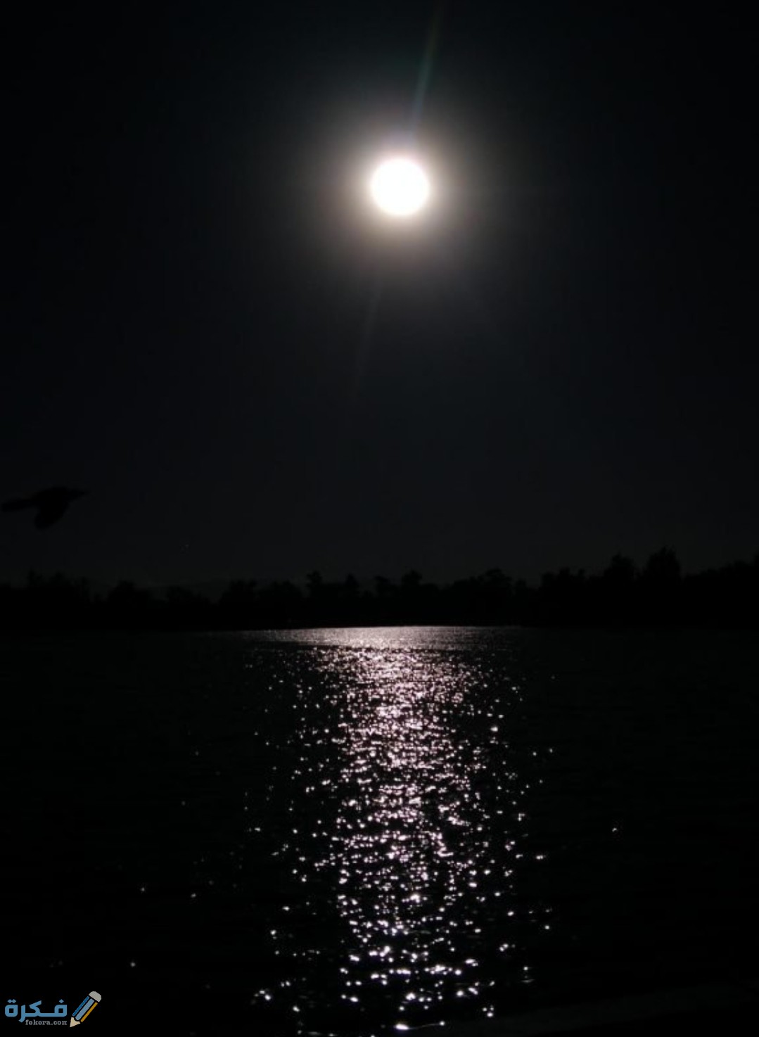 صور خلفيات سوداء 2025 1 IMG ٢٠٢٠١٠٢٤ ١٤٢٤٤٠