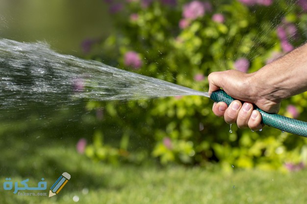 تفسير حلم رؤية رش الماء على شخص 1 man holds garden hose his hand watered plants pinched edge hose better spraying water 160152 265