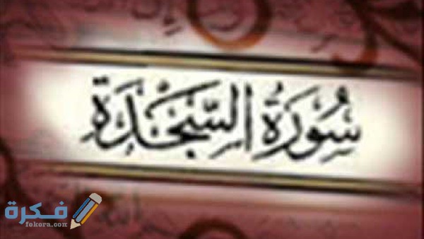 فضل قراءة سورة السجدة 1 206