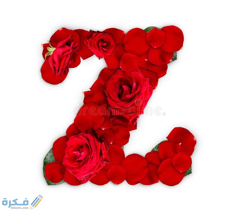 صور حرف Z مزخرفة 2025 خلفيات حرف z 1 IMG 20201112 WA0025