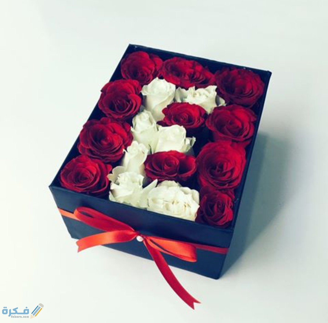 صور خلفيات حرف E مزخرفة 2025 1 IMG ٢٠٢٠١١٠٩ ١٥٥١٠٤