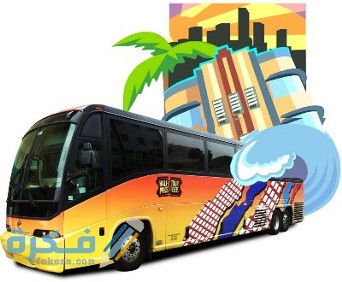 دراسة جدوى مشروع مكتب رحلات داخلية 1 city tours