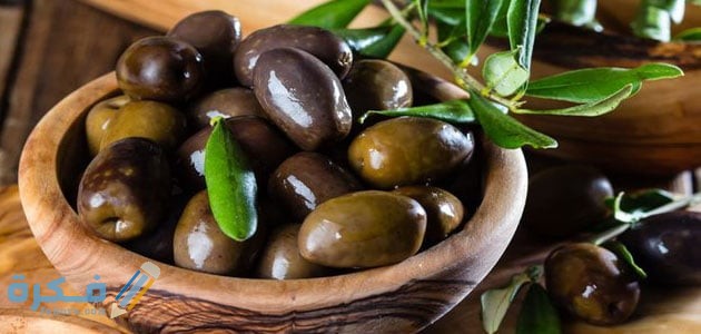إذاعة مدرسية عن قطف الزيتون كاملة 1 726293840501345