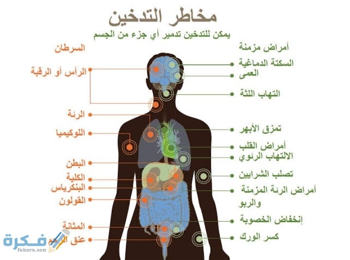بعض أمراض الرئة واختلالاتها التي لها علاقة بالتدخين 1 IMG ٢٠٢٠١٢٠٦ ٢٣٠٤٣٧