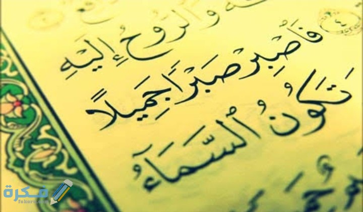 خطبة محفلية عن الصبر قصيرة 1 IMG ٢٠٢٠١٢٠٨ ٠١٢٦٤٦