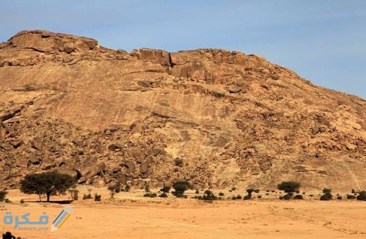 سميت جبال الحجاز بهذا الاسم لأنها تحجز بين هضبة نجد وسهول تهامة 1 IMG ٢٠٢٠١٢٠٨ ٠١٢٨٤٣